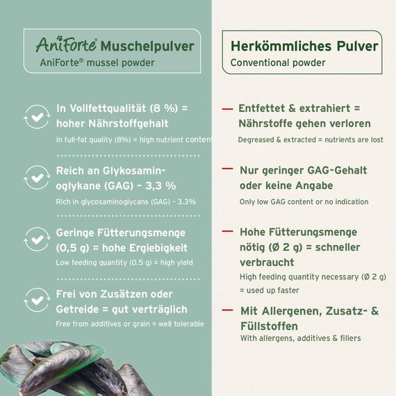 AniForte Grünlippmuschelpulver für Hunde & Pferde 1kg - Natürliches Grünlippmuschel Pulver in Vollfettqualität, Omega 3 & 6 Fettsäuren, Glycosaminoglycane 3,3%, unterstützt Gelenke & Gelenkfunktion