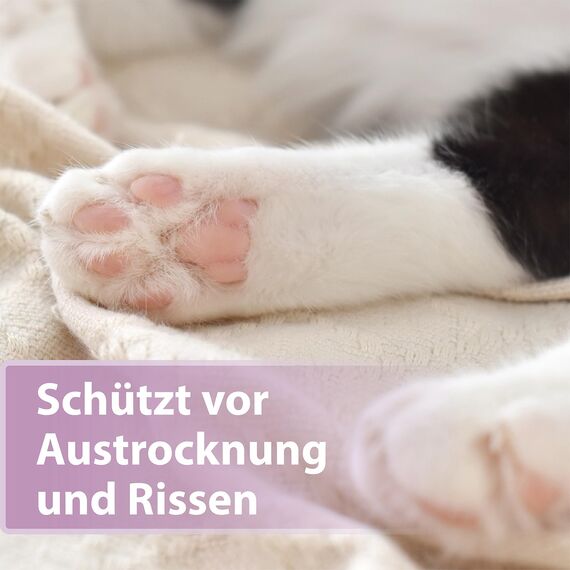 Felisept Pfotenpflege für Katzen 75g - Pfotenpflege Katze - Pfotenbalsam Katze - Schützt vor Austrocknung und Rissen - Schnell einziehend, ohne Fettfilm - Reichhaltige Pflege und Feuchtigkeit
