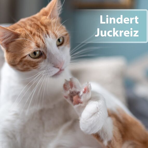 Felisept Hautpflegespray für Katzen 250ml - Milbenspray Katze - Grasmilben Katze - Juckreiz Katze - gegen Schuppen bei Katzen - Juckreiz Spray Katze - milde Pflegelotion mit natürlichen Wirkstoffen