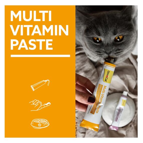 GimCat Multi-Vitamin Paste - Gesunder Katzensnack aktiviert Abwehrkräfte und stärkt das Immunsystem - 1 Tube (1 x 200 g)