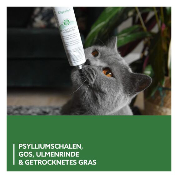 GimCat EXPERT LINE Gastro Intestinal Paste - Funktionaler Katzensnack unterstützt Verdauung und Darmflora - 1 Tube (1 x 50 g)