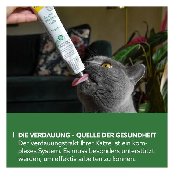 GimCat EXPERT LINE Gastro Intestinal Paste - Funktionaler Katzensnack unterstützt Verdauung und Darmflora - 1 Tube (1 x 50 g)