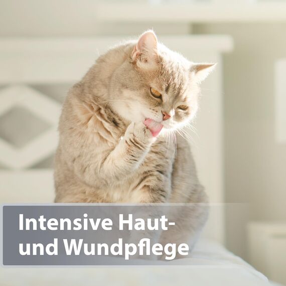 Felisept Mikro Silberspray für Katzen 75ml - Silberspray Katze gegen Juckreiz, Wundspray Katzen, Schmerzfrei & ohne Aluminium & kolloidales Silber, Einfache Anwendung
