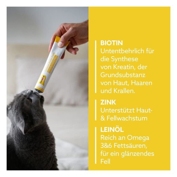 GimCat Cheese Biotin Paste - Mit aromatischem Käse, Zink und Leinöl für Fell, Haut und Krallen - 1 Tube (1 x 100 g)