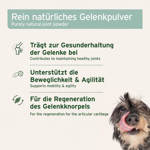 AniForte Grünlippmuschelpulver für Hunde & Pferde 1kg - Natürliches Grünlippmuschel Pulver in Vollfettqualität, Omega 3 & 6 Fettsäuren, Glycosaminoglycane 3,3%, unterstützt Gelenke & Gelenkfunktion