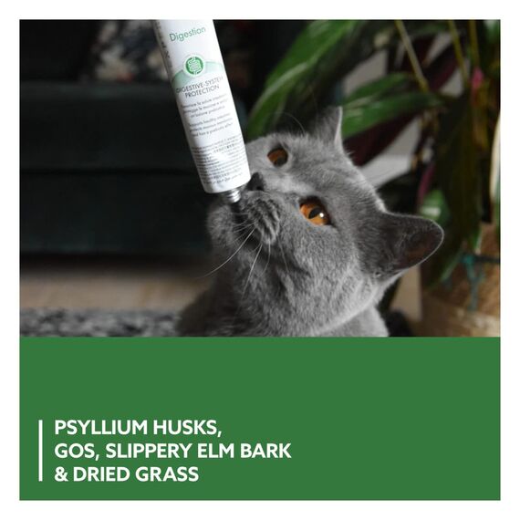 GimCat EXPERT LINE Gastro Intestinal Paste - Funktionaler Katzensnack unterstützt Verdauung und Darmflora - 1 Tube (1 x 50 g) (Packung mit 2)