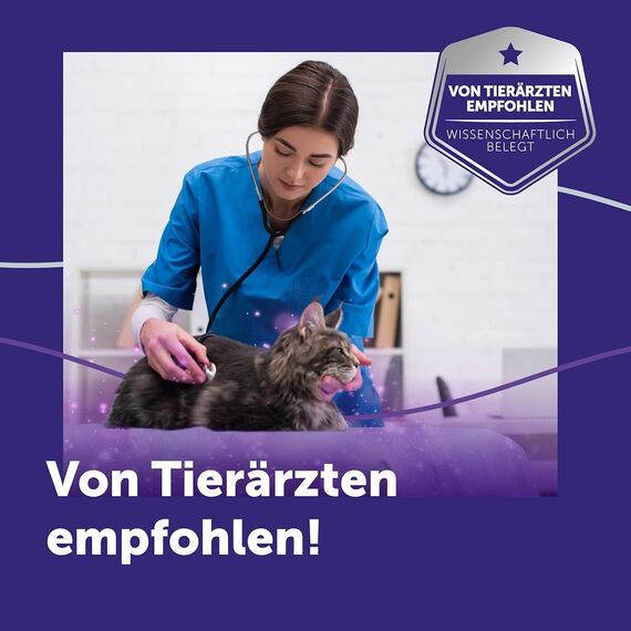 FELIWAY Optimum Nachfüllflakon für Katze | Pheromone zur Reduktion von Harnmarkieren, Kratzen oder Verstecken | sorgt für mehr Harmonie zwischen Katzen | 48ml