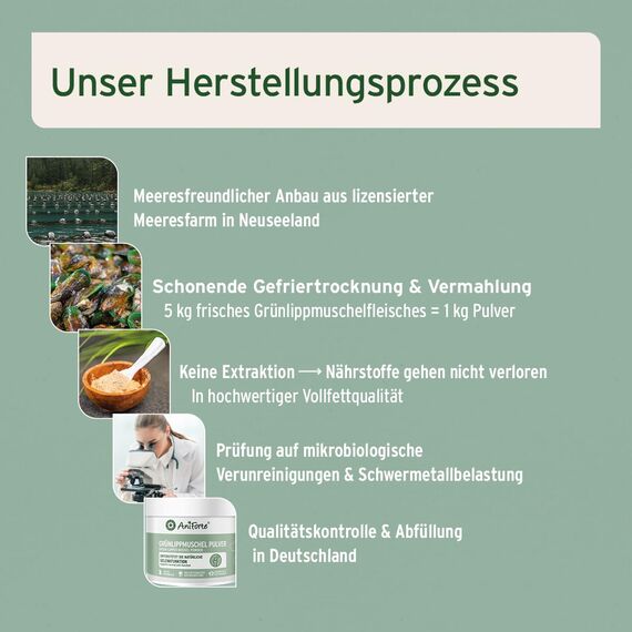 AniForte Grünlippmuschelpulver Hund 500g VERGLEICHSSIEGER 2023 - Naturprodukt für Gelenke & Gelenkfunktion, Grünlippmuschel Pulver Hund in Vollfettqualität mit hoher Akzeptanz