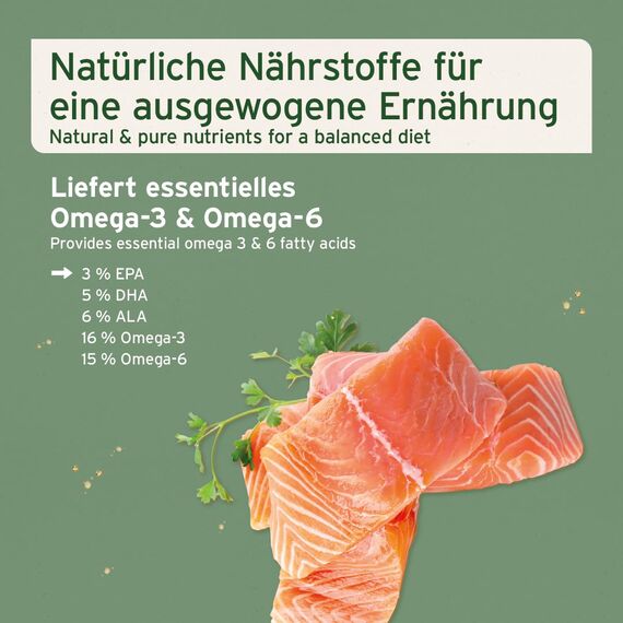 AniForte Natur Lachsöl für Hunde & Katzen 250 ml mit Omega 3 – Norwegisches, natürliches Lachsöl für Haut & Haar, Lachsöl für Hunde & Katzen, ohne künstliche Zusätze