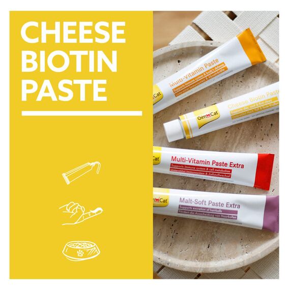 GimCat Cheese Biotin Paste - Mit aromatischem Käse, Zink und Leinöl für Fell, Haut und Krallen - 1 Tube (1 x 100 g)
