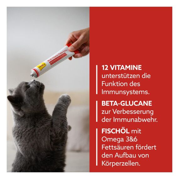 GimCat Multi-Vitamin Paste Extra - Katzensnack mit Fischöl für EIN Starkes Immunsystem und den Zellstoffwechsel - 1 Tube (1 x 200 g) (Packung mit 2)