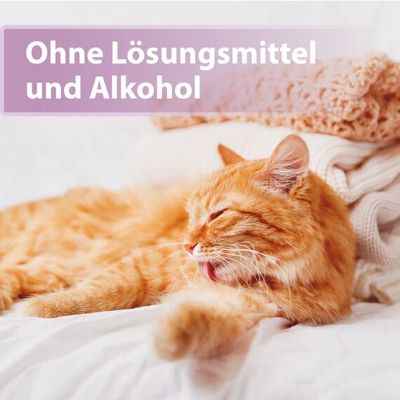 Felisept Fellpflegespray für Katzen 250ml - Entfilzungsspray Katze verfilztes Fell entfernen, besonderer Schutz & Pflege für das Katzenfell - Erleichtert das Auskämmen