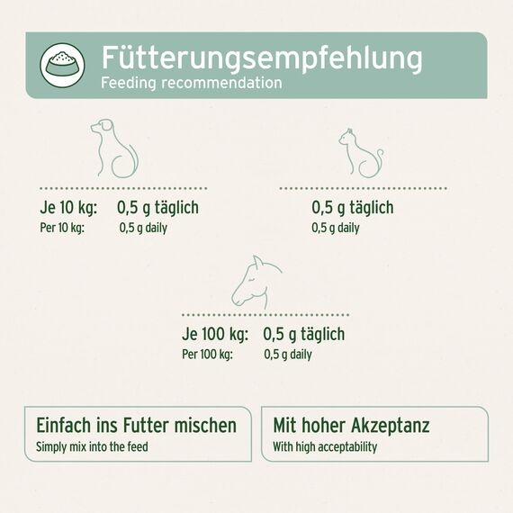 AniForte Grünlippmuschelpulver für Hunde & Katzen 250g - VERGLEICHSSIEGER 2023 Gelenkpulver in Vollfettqualität, unterstützt Gelenke & Agilität, Grünlippmuschel Pulver mit hoher Akzeptanz