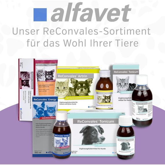 Alfavet ReConvales AntiPhos, zur Unterstützung der Nierenfunktion von Katzen und Hunden, Nahrungsergänzung mit Phosphatbinder, 3 x 90 ml Flaschen