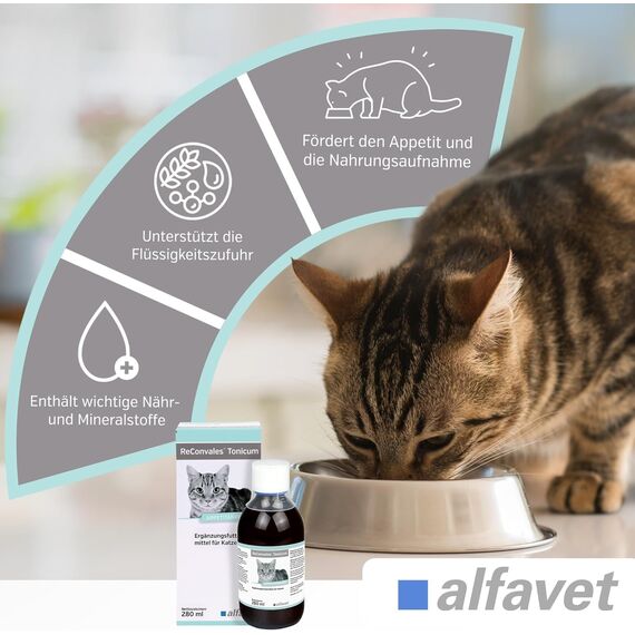 alfavet ReConvales Tonicum Katze, 2 x 6 x 45ml, appetitanregendes Ergänzungsfuttermittel zur Rekonvaleszenz und bei Untergewicht