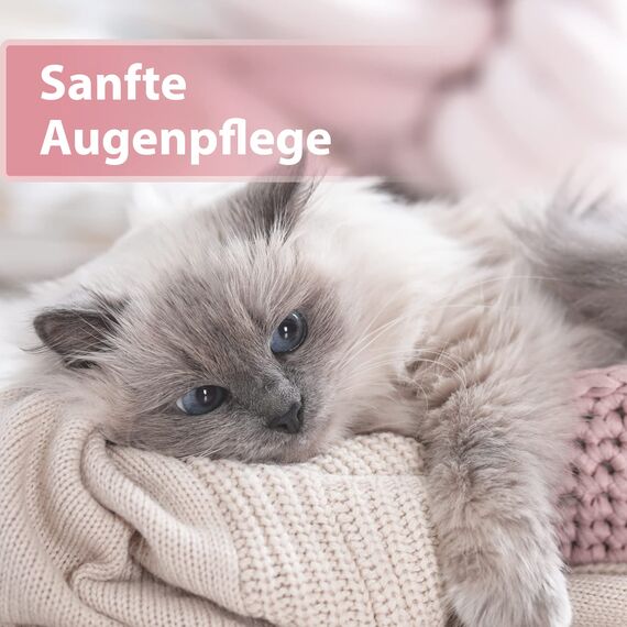 Felisept Augenpflege-Pads für Katzen 100 Stück - Mit Aloe Vera Extrakt - Fingerlinge zur Reinigung & Pflege des Augenumfelds - Katzen Pflege gegen Schmutz & Tränenstein - Augenreiniger Katze
