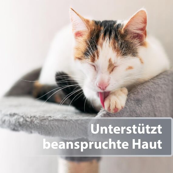 Felisept Mikro Silberspray für Katzen 75ml - Silberspray Katze gegen Juckreiz, Wundspray Katzen, Schmerzfrei & ohne Aluminium & kolloidales Silber, Einfache Anwendung
