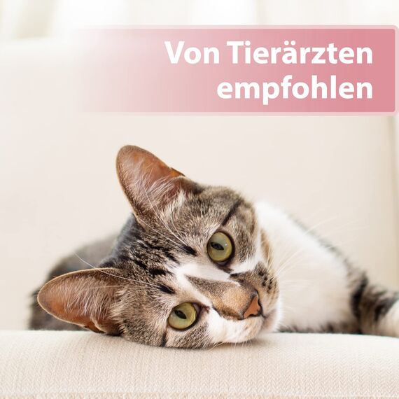Felisept Augenpflege-Pads für Katzen 100 Stück - Mit Aloe Vera Extrakt - Fingerlinge zur Reinigung & Pflege des Augenumfelds - Katzen Pflege gegen Schmutz & Tränenstein - Augenreiniger Katze
