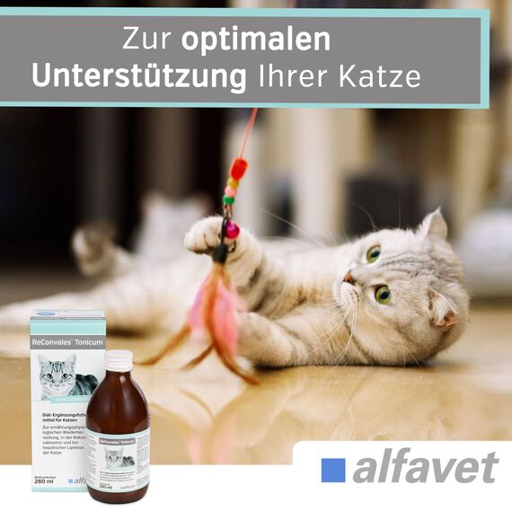 alfavet ReConvales Tonicum Katze, Doppelpack, appetitanregendes Ergänzungsfuttermittel zur Rekonvaleszenz und bei Untergewicht, 2 x 280 ml