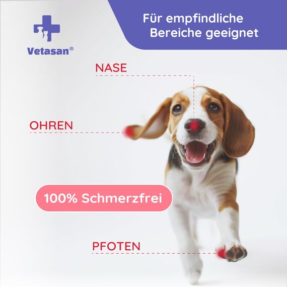 Vetasan Wundspray für Hunde & Katzen 150ml I Wunddesinfektion Katze I Für Haut und Pfoten I OHNE Alkohol & CHLOR I Desinfektionsmittel Tiere