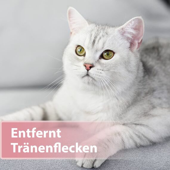 Felisept Augenpflege-Pads für Katzen 100 Stück - Mit Aloe Vera Extrakt - Fingerlinge zur Reinigung & Pflege des Augenumfelds - Katzen Pflege gegen Schmutz & Tränenstein - Augenreiniger Katze