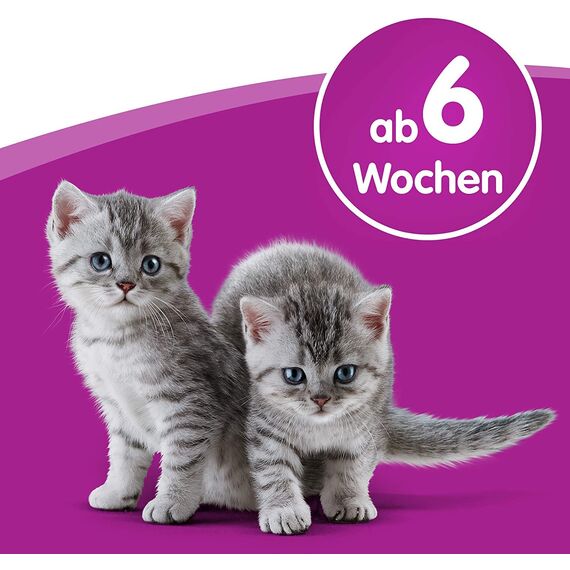 Whiskas Katzenmilch für Kätzchen ab 6 Wochen, 15 Flaschen, 15x200ml – Leckerer Snack für eine glückliche Katze, laktosereduziert und leicht verdaulich,3 l (1er Pack)
