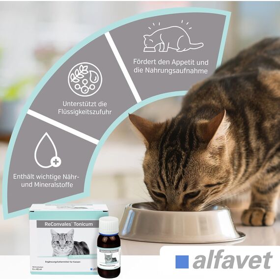 alfavet ReConvales Tonicum Katze, 6 x 45ml, appetitanregendes Ergänzungsfuttermittel zur Rekonvaleszenz und bei Untergewicht