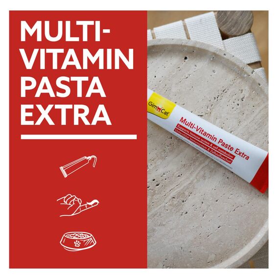 GimCat Multi-Vitamin Paste Extra - Katzensnack mit Fischöl für EIN Starkes Immunsystem und den Zellstoffwechsel - 1 Tube (1 x 200 g) (Packung mit 2)