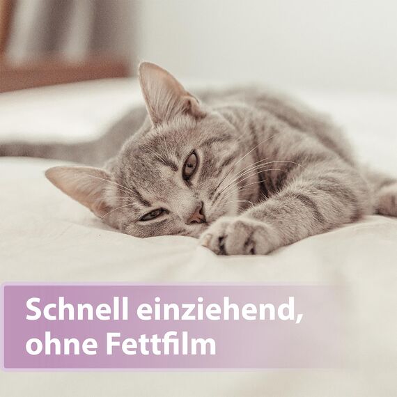 Felisept Pfotenpflege für Katzen 75g - Pfotenpflege Katze - Pfotenbalsam Katze - Schützt vor Austrocknung und Rissen - Schnell einziehend, ohne Fettfilm - Reichhaltige Pflege und Feuchtigkeit