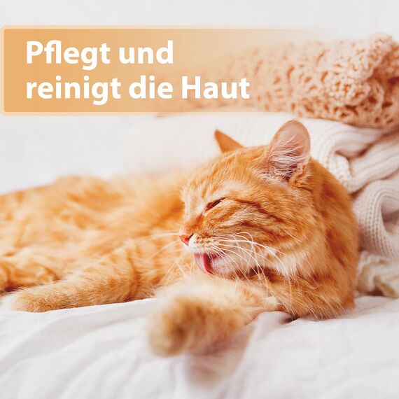 Felisept Wundspray für Katzen 75ml - Wundspray Katze zur Reinigung von Wunden, Haut und Scheimhäuten - Wundpflege Katze - Einfach in der Anwendung und schmerzfrei für die Katze