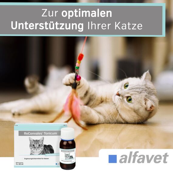 alfavet ReConvales Tonicum Katze, 3 x 45ml, appetitanregendes Ergänzungsfuttermittel zur Rekonvaleszenz und bei Untergewicht