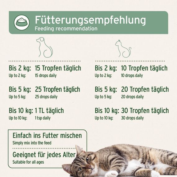AniForte Lachsöl für Katzen & Hunde 100ml - Natur Fischöl aus Norwegen, reich an Omega 3, frisch abgefüllt in Deutschland, Ergänzungsmittel für Katzen ohne Zusätze, einfache Tropfdosierung