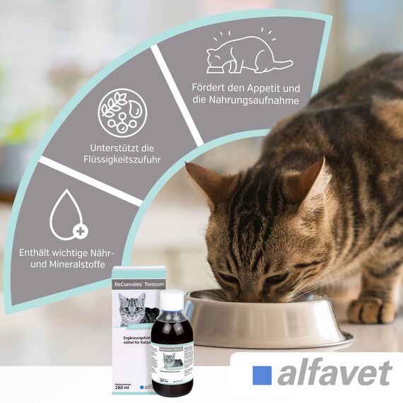 alfavet ReConvales Tonicum Katze, 280 ml, appetitanregendes Ergänzungsfuttermittel zur Rekonvaleszenz und bei Untergewicht