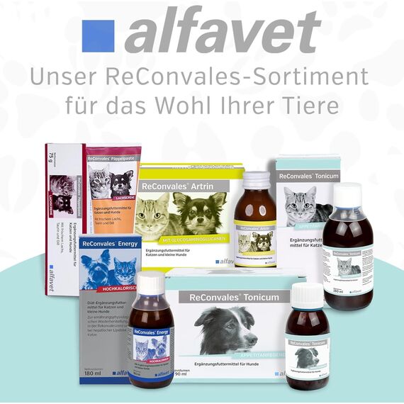 alfavet ReConvales Tonicum Katze, 280 ml, appetitanregendes Ergänzungsfuttermittel zur Rekonvaleszenz und bei Untergewicht