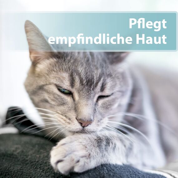 Felisept Hautpflegespray für Katzen 250ml - Milbenspray Katze - Grasmilben Katze - Juckreiz Katze - gegen Schuppen bei Katzen - Juckreiz Spray Katze - milde Pflegelotion mit natürlichen Wirkstoffen