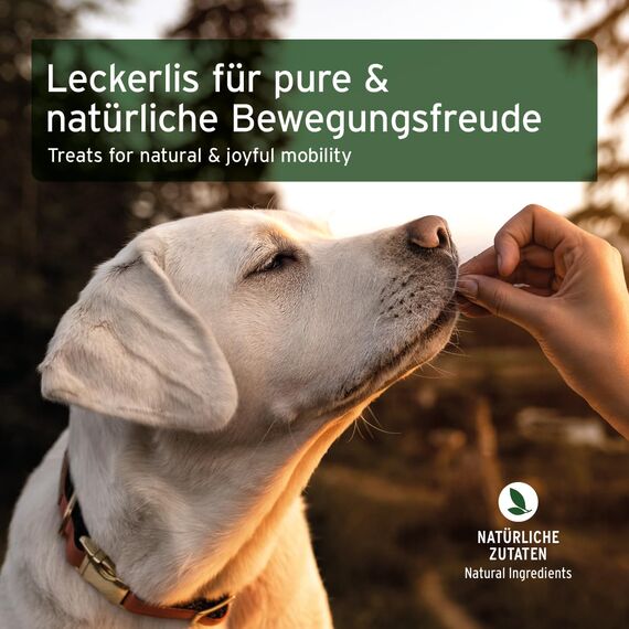 AniForte Gelenk Snack für Hunde 300g mit Grünlippmuschel für die Gelenke, hoher Hühnchen Fleischanteil, Funktionssnack getreidefrei statt Gelenktabletten für Knochen & Gelenke