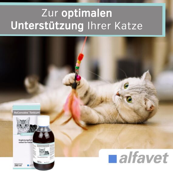 alfavet ReConvales Tonicum Katze, 280 ml, appetitanregendes Ergänzungsfuttermittel zur Rekonvaleszenz und bei Untergewicht