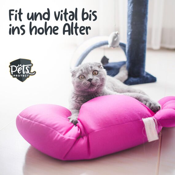 Pets Protect 100% reines TAURIN-Pulver für Katzen & Hunde 150 g | Gesunderhaltung Netzhaut & Organfunktion | Immunsystem & Stoffwechsel | Stärkung von Herzkreislaufsystem | Deutsche Herstellung