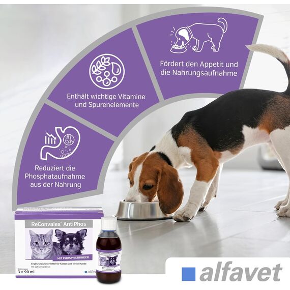 Alfavet ReConvales AntiPhos, zur Unterstützung der Nierenfunktion von Katzen und Hunden, Nahrungsergänzung mit Phosphatbinder, 3 x 90 ml Flaschen