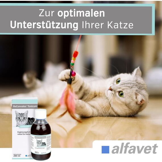 alfavet ReConvales Tonicum Katze, 2 x 6 x 45ml, appetitanregendes Ergänzungsfuttermittel zur Rekonvaleszenz und bei Untergewicht