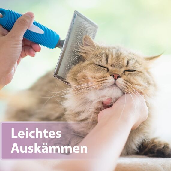 Felisept Fellpflegespray für Katzen 250ml - Entfilzungsspray Katze verfilztes Fell entfernen, besonderer Schutz & Pflege für das Katzenfell - Erleichtert das Auskämmen