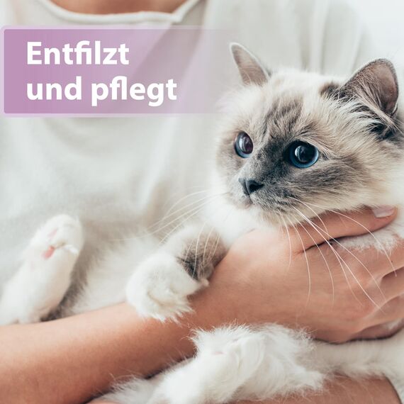 Felisept Fellpflegespray für Katzen 250ml - Entfilzungsspray Katze verfilztes Fell entfernen, besonderer Schutz & Pflege für das Katzenfell - Erleichtert das Auskämmen