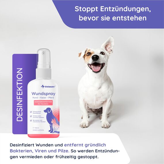 Vetasan Wundspray für Hunde & Katzen 150ml I Wunddesinfektion Katze I Für Haut und Pfoten I OHNE Alkohol & CHLOR I Desinfektionsmittel Tiere