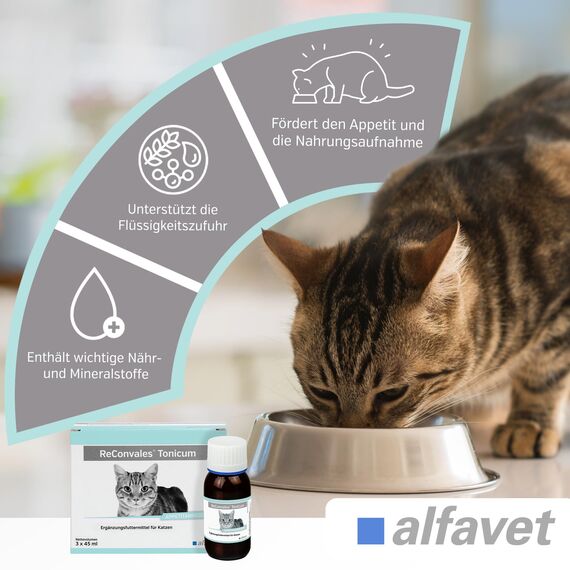 alfavet ReConvales Tonicum Katze, 3 x 45ml, appetitanregendes Ergänzungsfuttermittel zur Rekonvaleszenz und bei Untergewicht