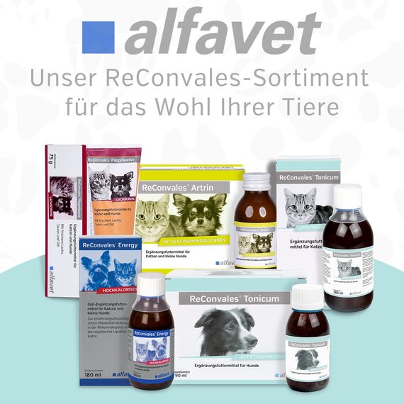 alfavet ReConvales Tonicum Katze, 3 x 45ml, appetitanregendes Ergänzungsfuttermittel zur Rekonvaleszenz und bei Untergewicht