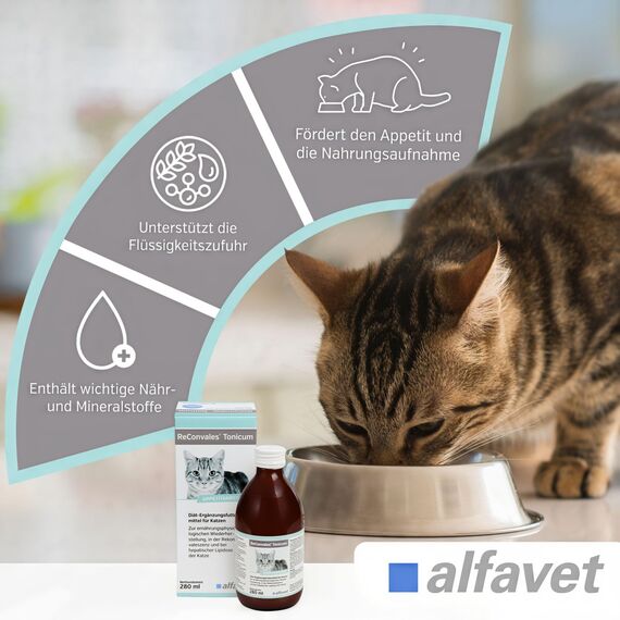 alfavet ReConvales Tonicum Katze, Doppelpack, appetitanregendes Ergänzungsfuttermittel zur Rekonvaleszenz und bei Untergewicht, 2 x 280 ml