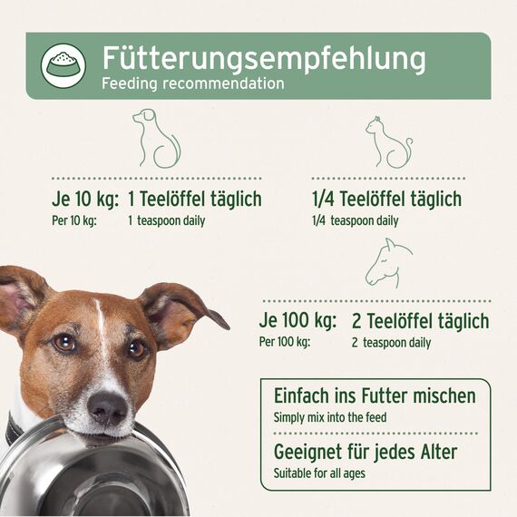 AniForte Lachsöl für Hunde & Pferde 5 Liter - Premium Natur Fischöl aus Norwegen reich an Omega 3 & 6, Futter Ergänzung, Barf Öl für Hunde ohne Zusätze, frisch abgefüllt in Deutschland