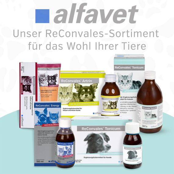 alfavet ReConvales Tonicum Katze, Doppelpack, appetitanregendes Ergänzungsfuttermittel zur Rekonvaleszenz und bei Untergewicht, 2 x 280 ml