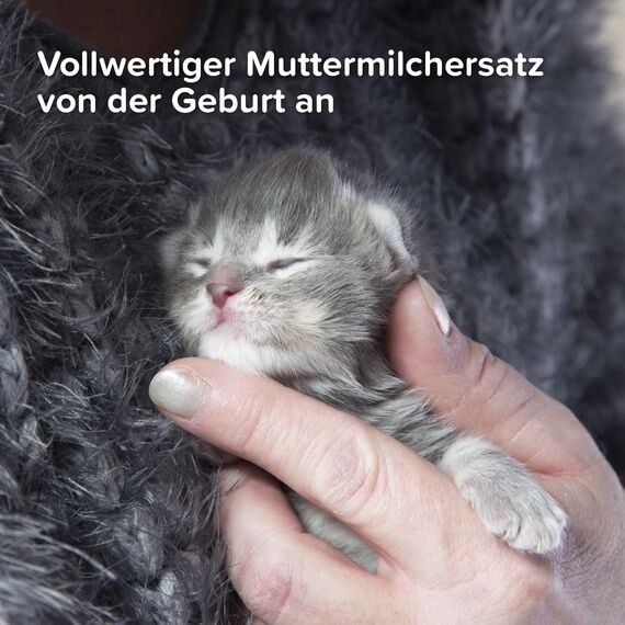 BEAPHAR - Lactol Aufzucht-Milch - Für Kätzchen - Von Geburt An - Muttermilchersatz Mit DHA, Vitaminen Und Mineralien - Unterstützt Gesunde Aufzucht Und Stärkung - 500 g (Packung mit 2)