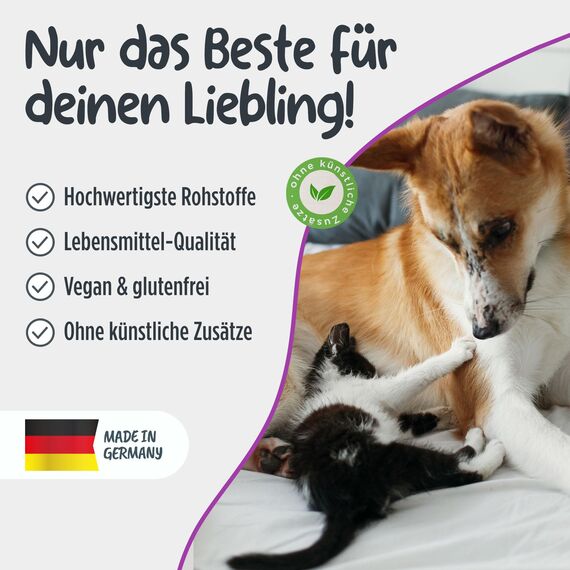 Pets Protect 100% reines TAURIN-Pulver für Katzen & Hunde 150 g | Gesunderhaltung Netzhaut & Organfunktion | Immunsystem & Stoffwechsel | Stärkung von Herzkreislaufsystem | Deutsche Herstellung